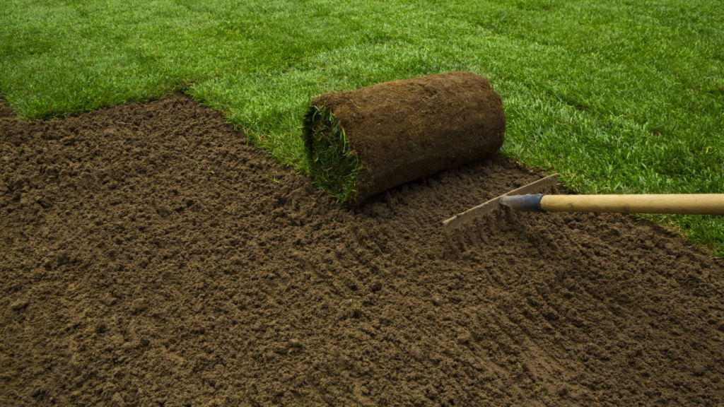 Lawn & Turf